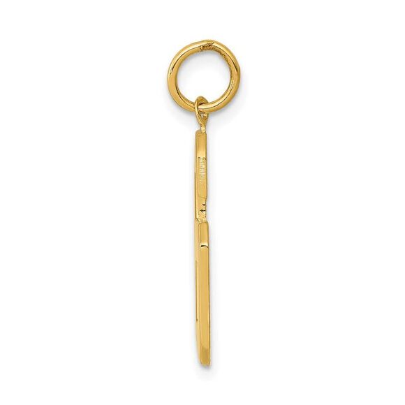 14k Yellow Gold, Athletic Collection, Large Polished Number 6 Pendant
